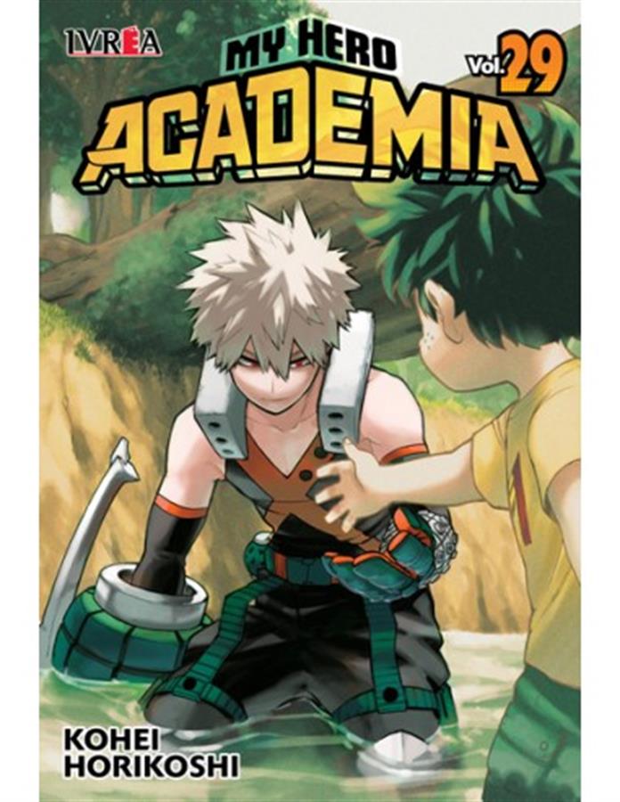 MY HERO ACADEMIA 29