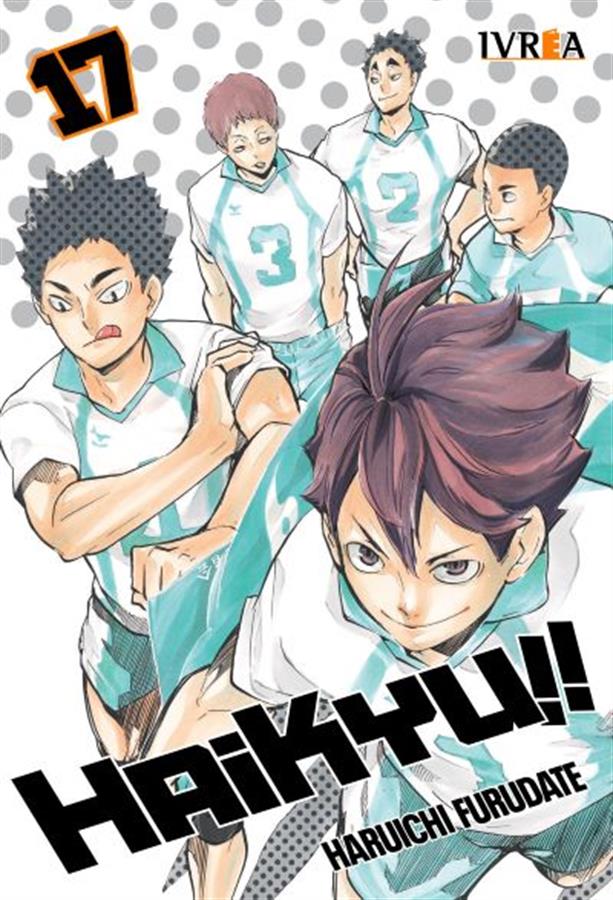 HAIKYUU!! 17