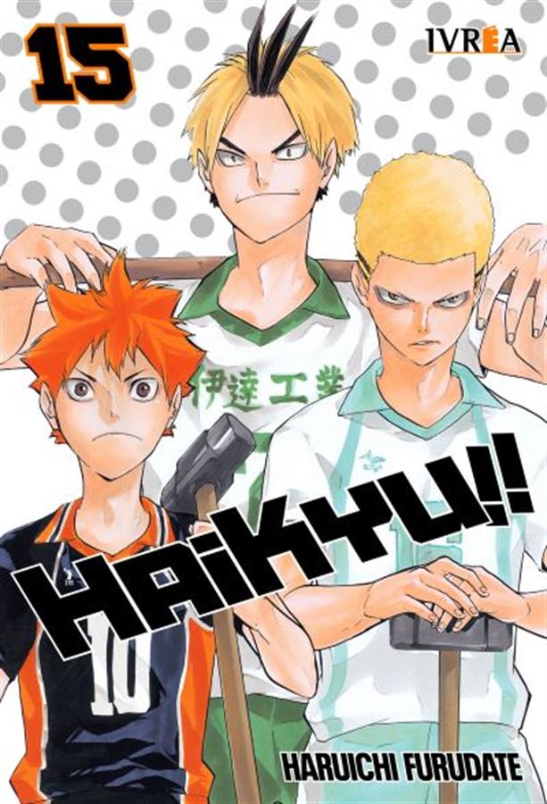 HAIKYUU!! 15