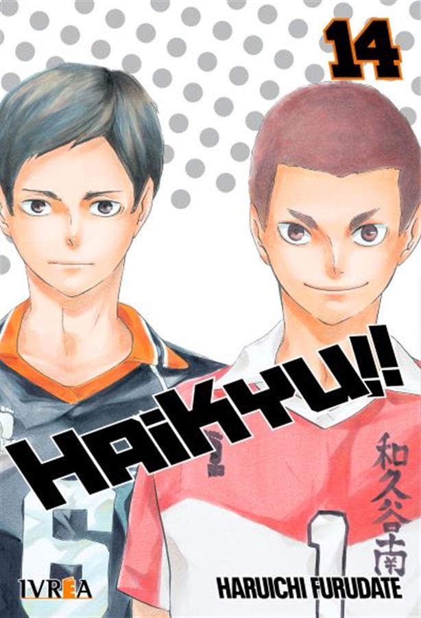 HAIKYUU!! 14